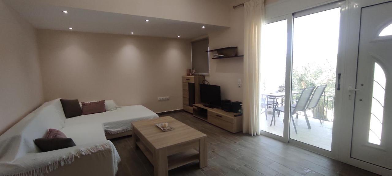 Helios & Elia Family Apartment Liapades Buitenkant foto